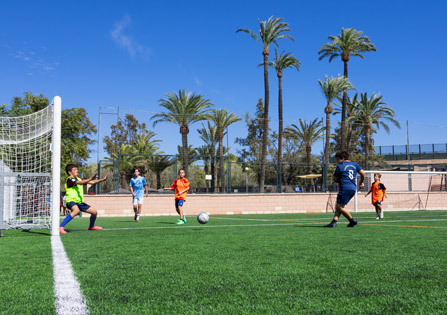 Primary Football 7 Pitch