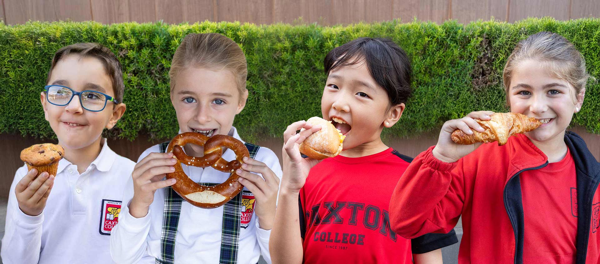 Languages to Conquer the World