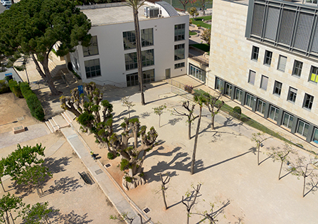 Secondary playground