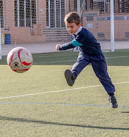 Fútbol